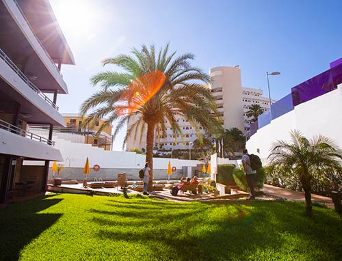 Jacarandás Beach